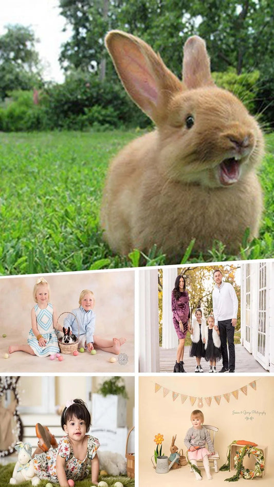 8 affordable perfect easter mini session photoshoot ideas for family in 2024