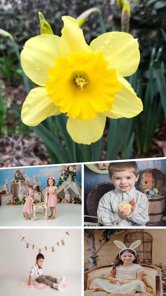 Egg-citing Photos: Creative Ways to Incorporate Eggs into Your Easter Shoot