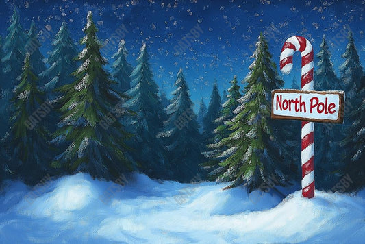 Gatsby Christmas North Pole Forest Photography Backdrop Gbsx-01191