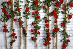 Gatsby Valentines Wooden Stick With Roses Photography Backdrop Gbsx-01320