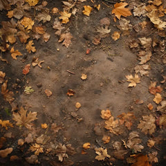 Gatsby Autumn Dirt Leaves Ground Photography Backdrop Gbsx-00945 - Gatsby Backdrop