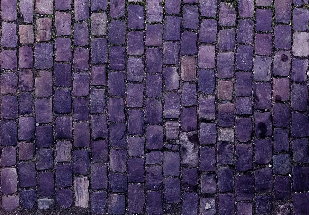 Gatsby Purple Stone Road Photography Backdrop Gbsx-00942 - Gatsby Backdrop