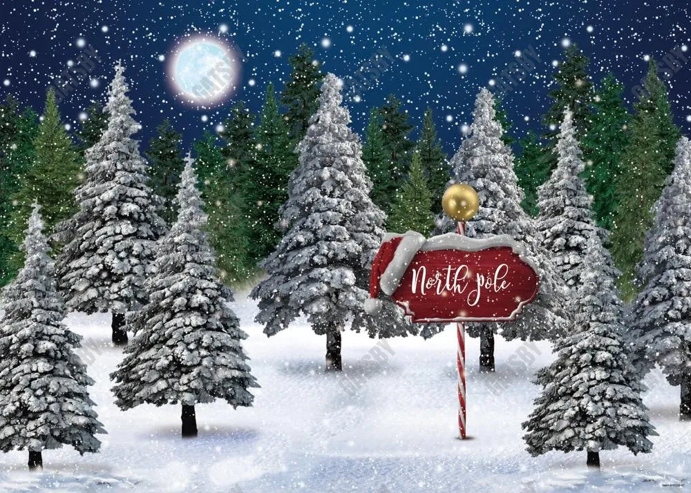 Winter Snowing Night Landscape Forest Backdrop - Gatsby Backdrop