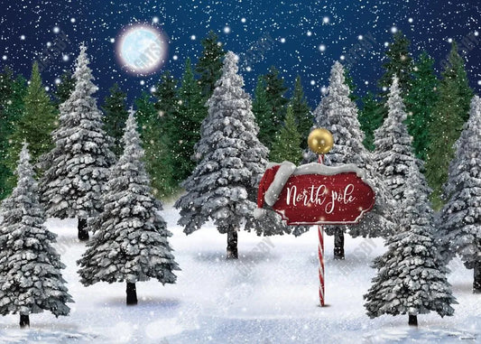 Winter Snowing Night Landscape Forest Backdrop - Gatsby Backdrop