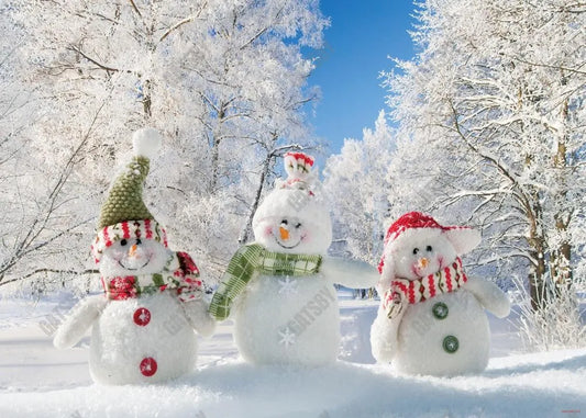 Winter Snowman Photography Backdrop - Gatsby Backdrop