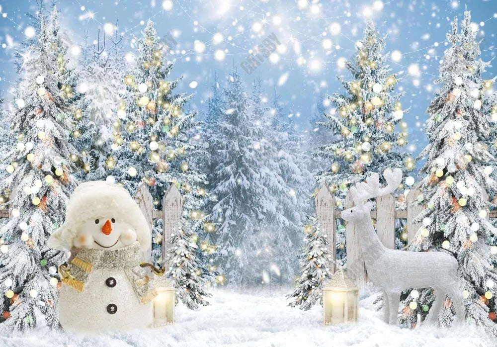 Winter Wonderland Snowman Backdrop - Gatsby Backdrop