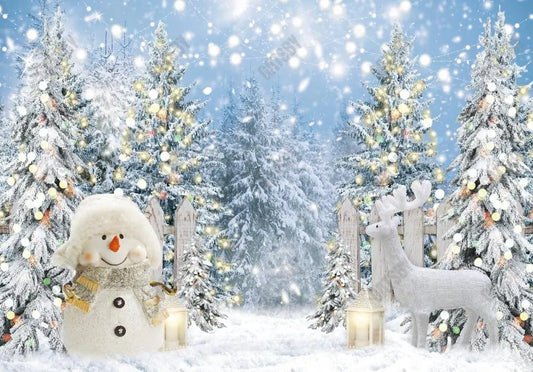 Winter Wonderland Snowman Backdrop - Gatsby Backdrop