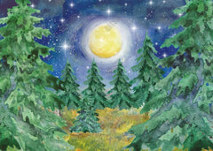 Winter Woodland Jungle Night Photography Backdrop - Gatsby Backdrop