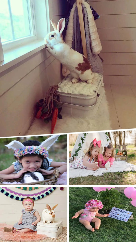 7 affordable cute easter and spring photo ideas for toddlers in 2024