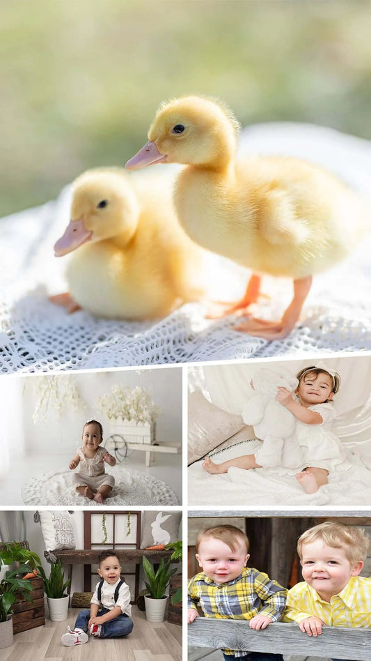 7 awesome easter picture ideas