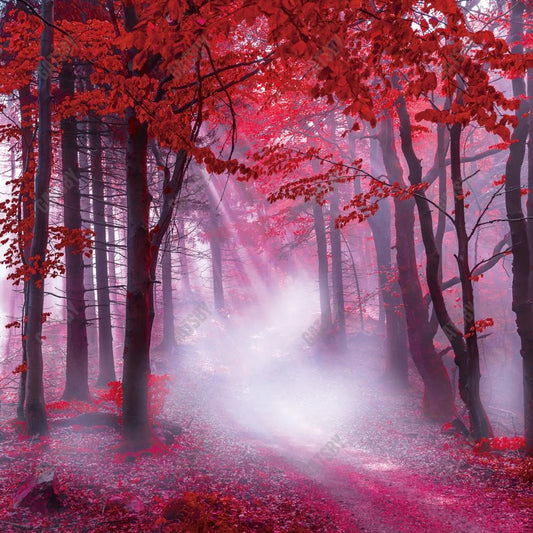 Gatsby Autumn Red Foggy Forest Photography Backdrop Gbsx-00613