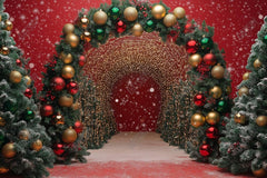 Gatsby Christmas Archway Photography Backdrop Gbsx-01147