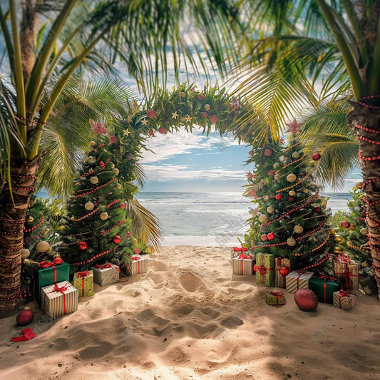 Gatsby Christmas Sea Beach Arch Photography Backdrop Gbsx-00570
