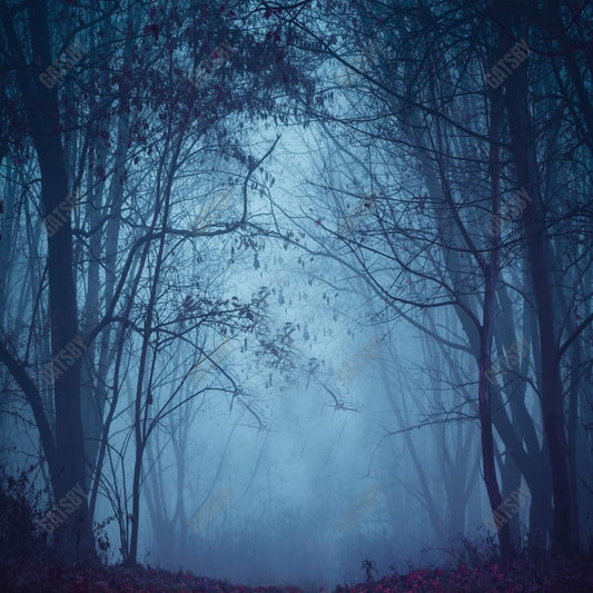 Gatsby Foggy Forest Night Photography Backdrop Gbsx-00545