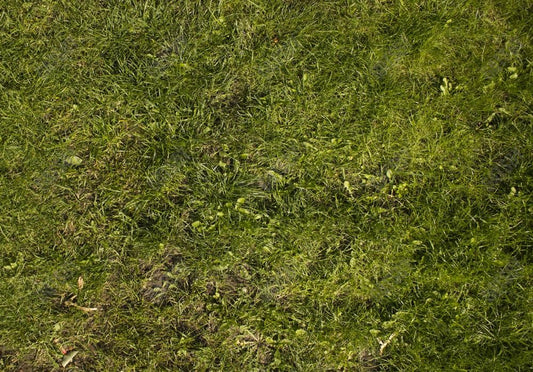 Fresh Grass Floor Photography Backdrop GBSX-99784