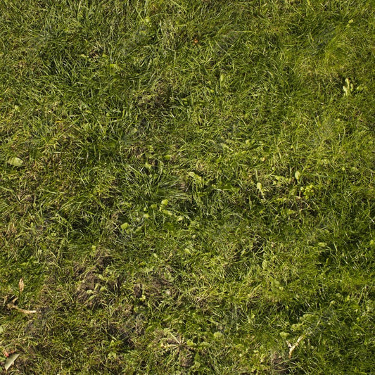 Fresh Grass Floor Photography Backdrop GBSX-99784