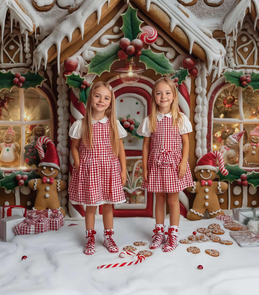 Gatsby Winter Gingerbread House Photography Backdrop GBSX-00152