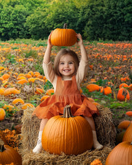 Gatsby Autumn Pumpkin Patch Field Photography Backdrop Gbsx-00946