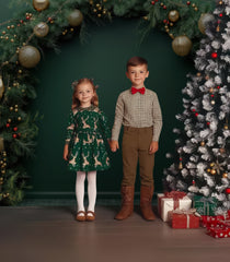 Christmas Dark Green Arch Wall Photography Backdrop GBSX-99899