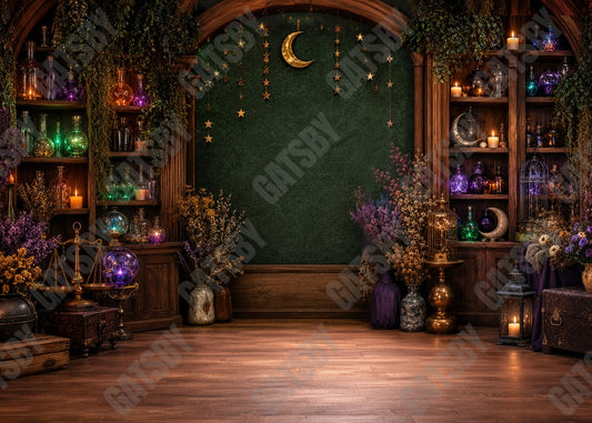 Gatsby Magical Potion Library Photography Party Backdrop GB_01330
