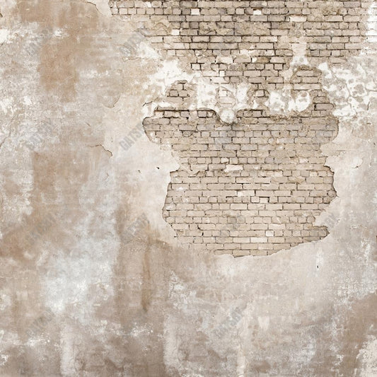 Gatsby Old Grunge Brick Wall Texture  Photography Backdrop Gbsx-00293
