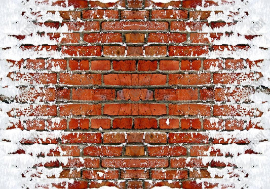 Snowy Brick Path Photography Backdrop GBSX-99901