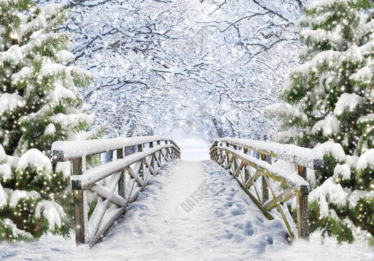 Gatsby Snowy Bridge Photography Backdrop Gbsx-00598
