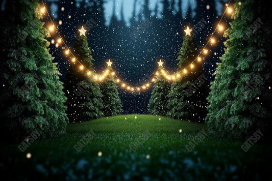 Gatsby Snowy Tree Farm Photography Backdrop Gbsx-01115