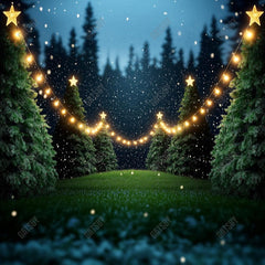 Gatsby Snowy Tree Farm Photography Backdrop Gbsx-01115