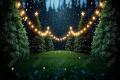 Gatsby Snowy Tree Farm Photography Backdrop Gbsx-01115