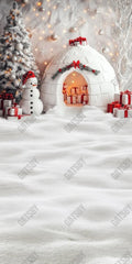 Gatsby Winter Snowman Ice House Photography Backdrop Gbsx-01281