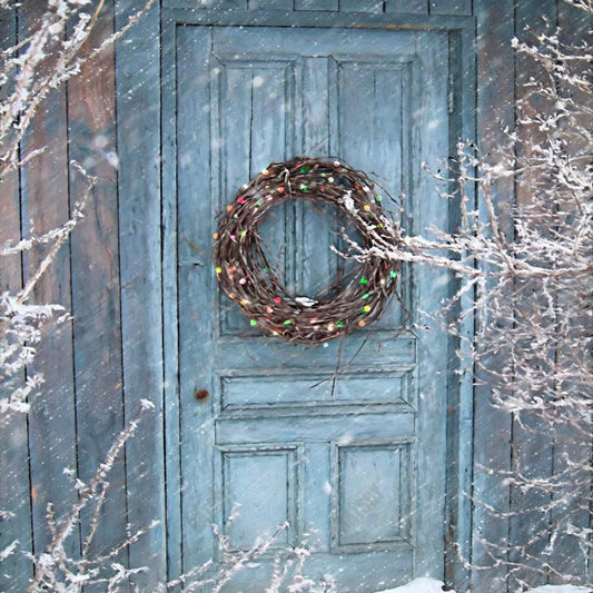 Gatsby Winter Snowy Door Photography Backdrop Gbsx-00544