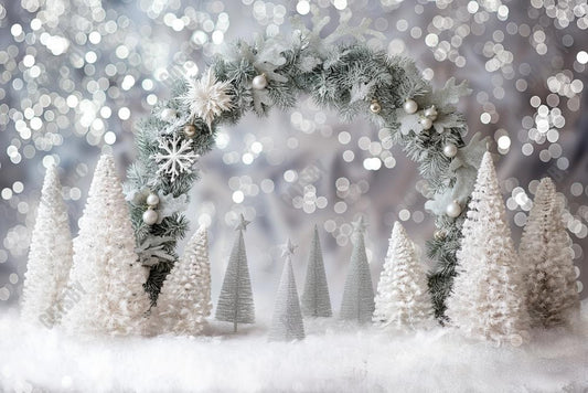 Winter White Bokeh Arch Wall Photography Backdrop GBSX-99992