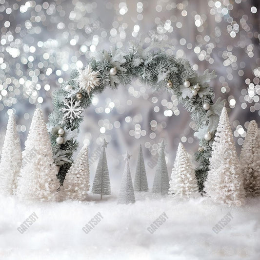 Winter White Bokeh Arch Wall Photography Backdrop GBSX-99992
