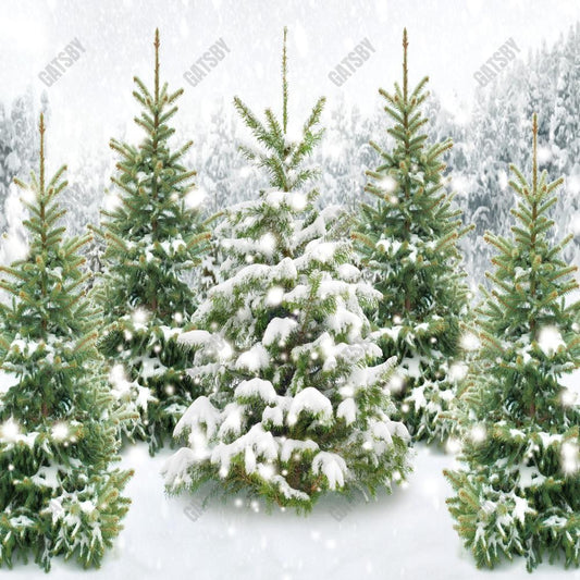 Gatsby Winter Wonderland Forest Photography Backdrop Gbsx-00596