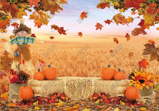 Fall Harvest Field Backdrop