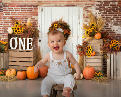 Pumpkin Happy 1st Birthday Backdrop