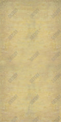 Gatsby Yellow And Beige Tones Photography Backdrop Gbsx-00269