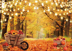 Autumn Forest Photography Backdrop - Gatsby Backdrop