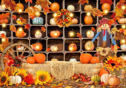 Autumn Pumpkin Patch Shelf Photography Backdrop GBSX-99612 - Gatsby Backdrop