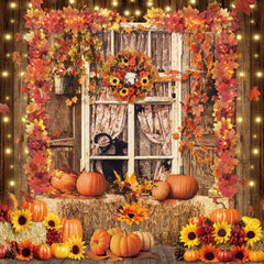 Autumn Pumpkins Window Photography Backdrop GBSX-99613 - Gatsby Backdrop