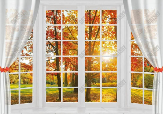 Autumn Tree Window Backdrop - Gatsby Backdrop