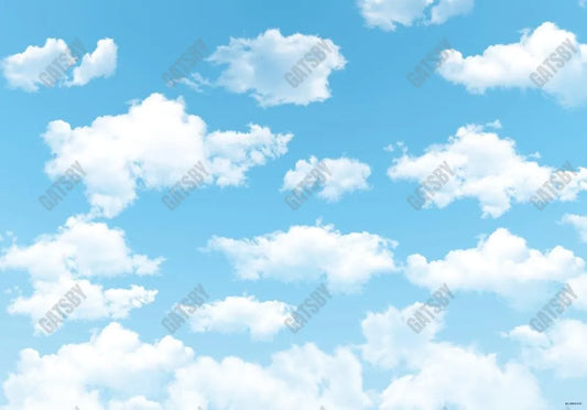 Blue Sky White Cloud Backdrop - Gatsby Backdrop