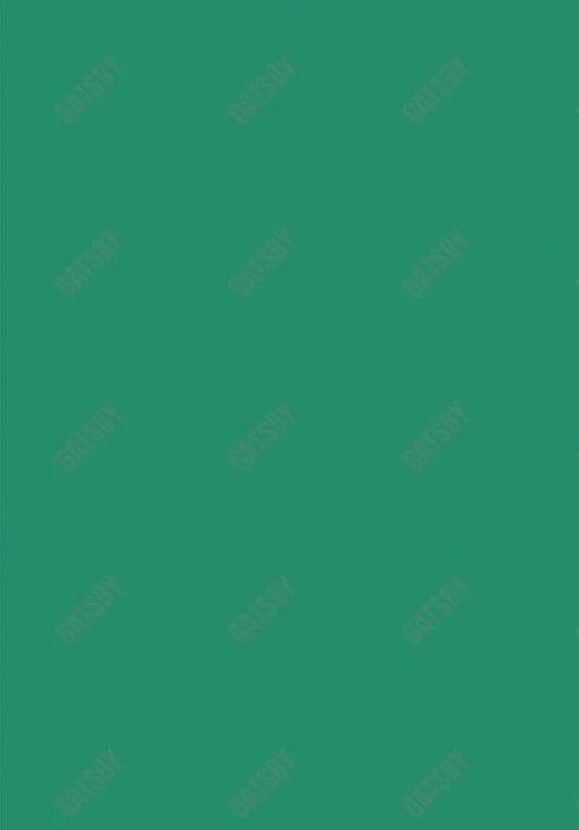 Bright Green Solid Backdrop Sm1A-00107 - Gatsby Backdrop