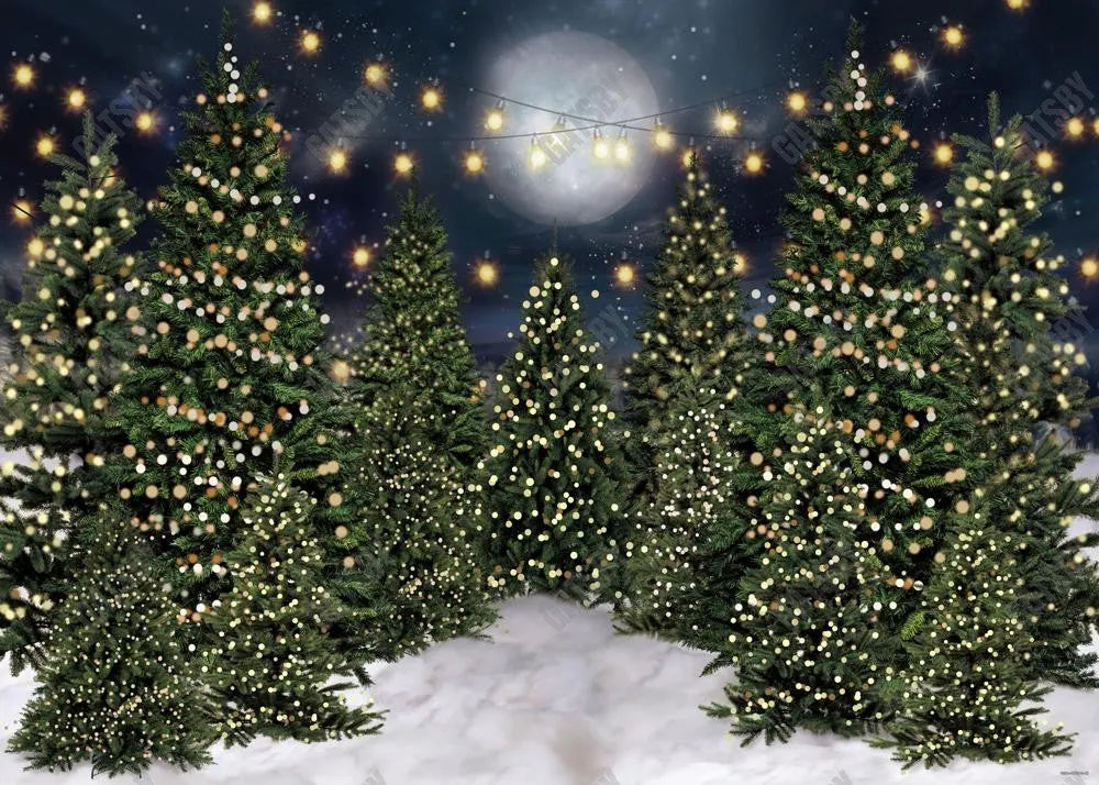 Christmas Forest Photography Backdrop - Gatsby Backdrop