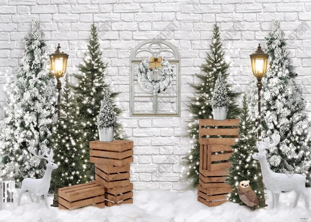 Christmas Winter Backdrop - Gatsby Backdrop