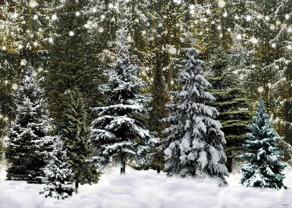 Christmas Winter Snowfield Photography Backdrop – Gatsby Backdrop