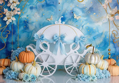 Cinderella Cake Smash Photography Backdrop GBSX-99724 - Gatsby Backdrop