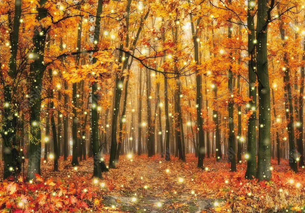 Fall Forest Scenery Photography Backdrop - Gatsby Backdrop