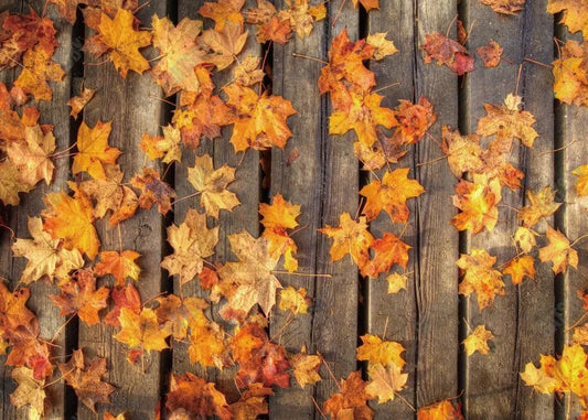 Fall Maple Leaves Wooden Backdrop - Gatsby Backdrop